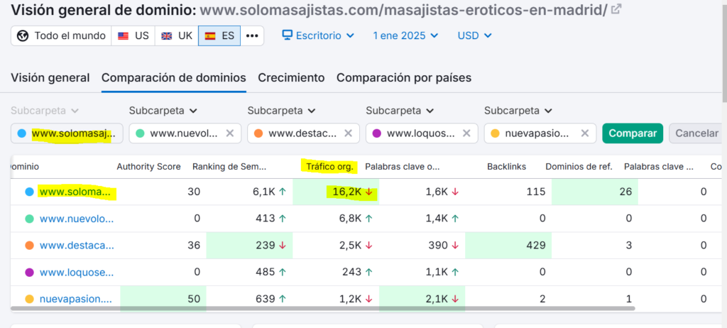 visitas solomasajistas diciembre