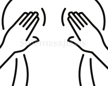 solomasajistas Masajistas                    Mallorca Masaje profecional para masajistas 624896175